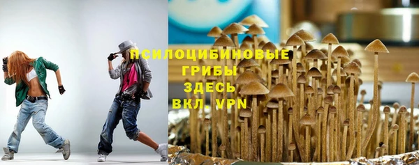 спайс Карталы