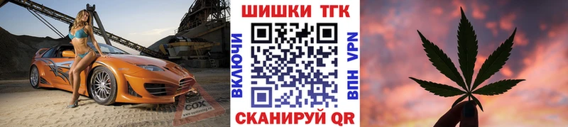 Купить закладки  Полевской  Бошки Шишки SATIVA & INDICA 